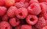 Raspberry